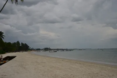 DSC_5410 (Large).JPG